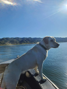 Lake days, fish plays, good times